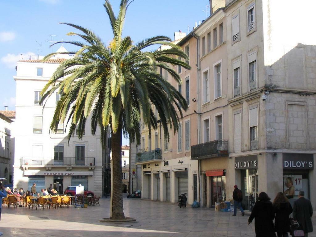 Le Logis De L'Etoile Διαμέρισμα Νιμ Εξωτερικό φωτογραφία